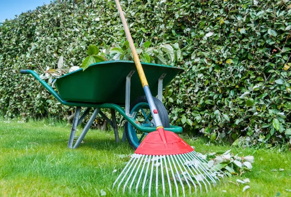Jakie narzędzia do trawnika są niezbędne? Lista must-have
