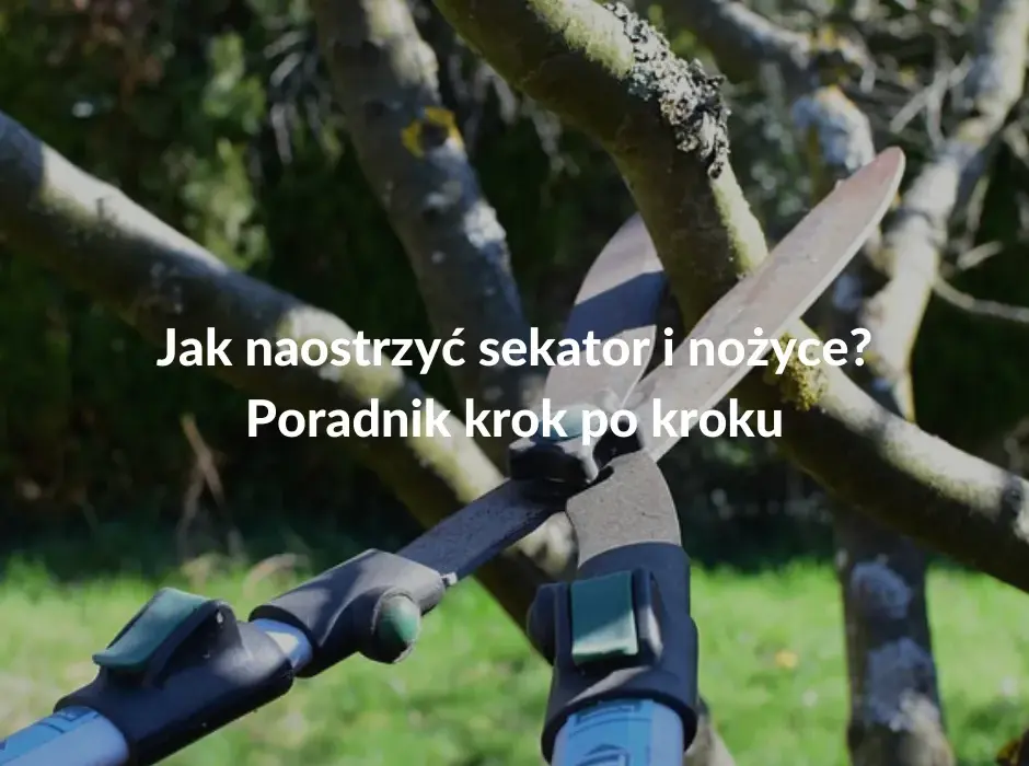 Jak naostrzyć łopatę? Prosty poradnik krok po kroku