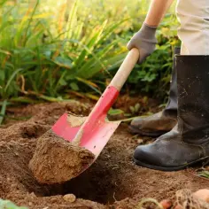 Jak jest łopata po angielsku? Odkryj różnice między shovel a spade