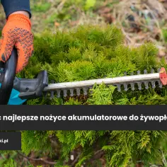 Nożyce akumulatorowe do krzewów: Jak wybrać najlepsze?