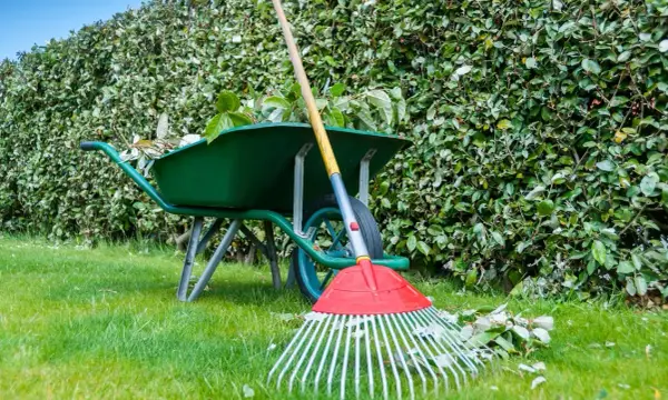 Jakie narzędzia do trawnika są niezbędne? Lista must-have