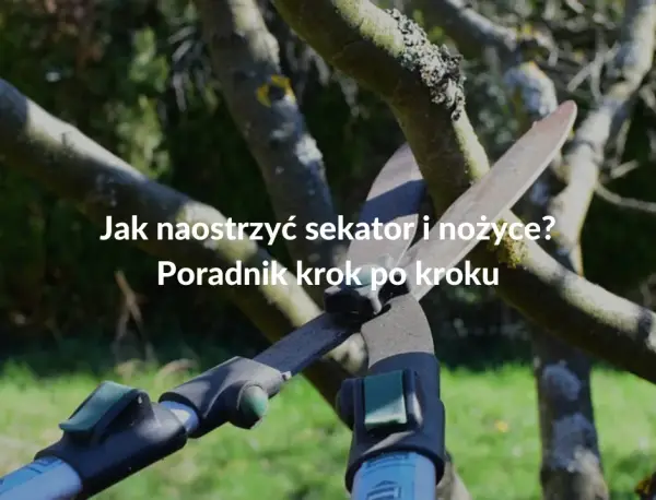 Jak naostrzyć łopatę? Prosty poradnik krok po kroku